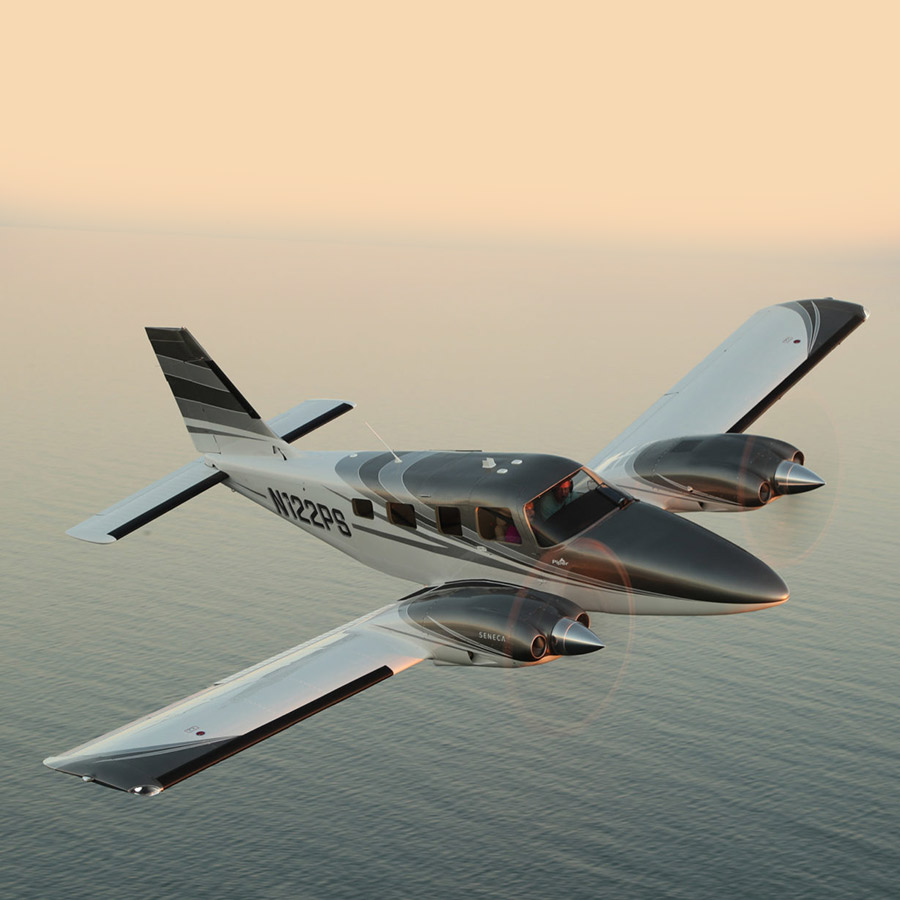 Piper Seneca